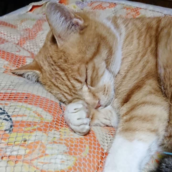 6a78ca38 e3c2 4b95 9309 f94983cf0189 1577450610140