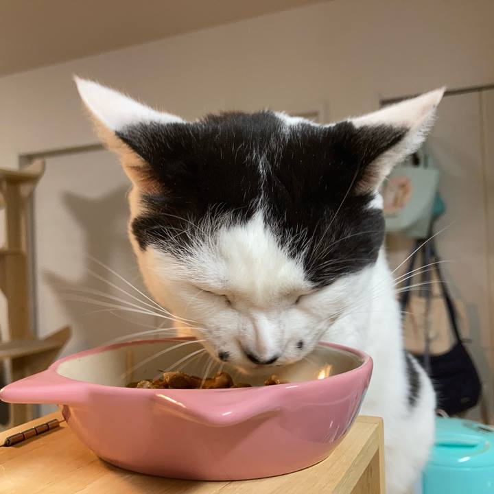 6a78d02e 22e7 4d46 a6de 8174038360be 1760475488770