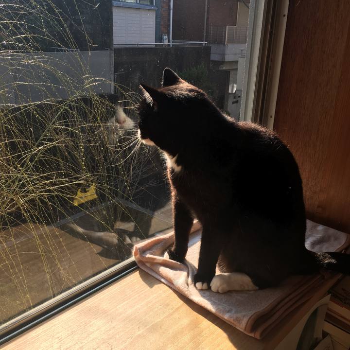 6a78da81 1503 4948 b5ec c718976edc6c 1551744897046