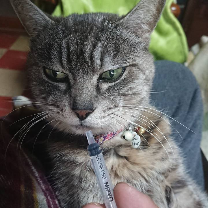 6a78e867 b660 4904 a7ff 7f4257c3733c 1582326007083