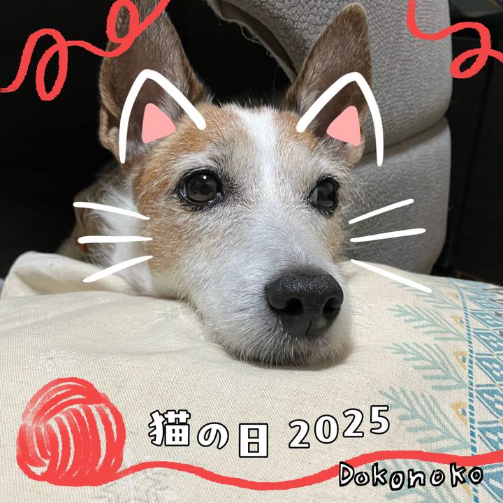 6a78f212 c313 44e6 ae4a d11875e1a8c3 1740355541606