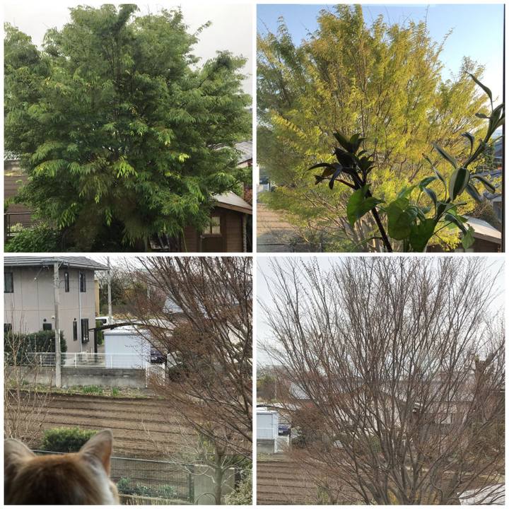 6a791a84 a1c0 485b 80f9 3276c740453a 1556605030917