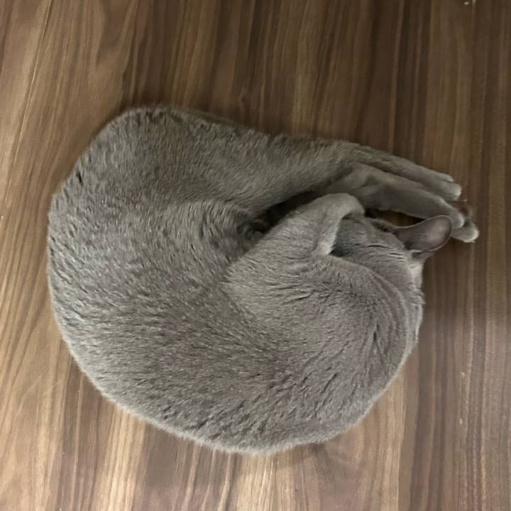 6a7927d7 ec8f 4bb1 bc84 7323c5cde3d3 1737111168786