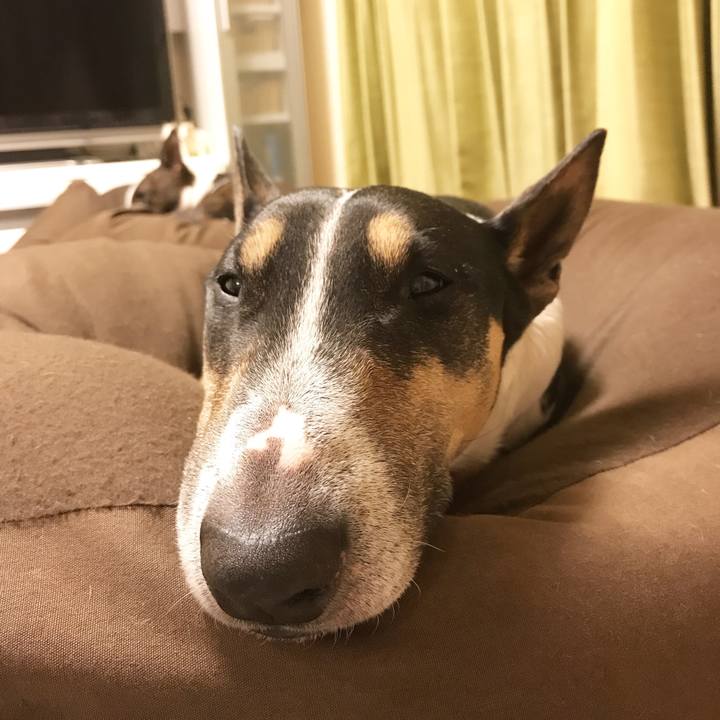 6a7941f9 a2e6 4330 bac8 ef3f8d77cdab 1512032819425