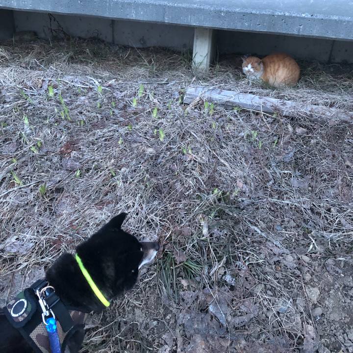 6a795abb 03a6 49d2 8496 9558d91c6491 1554329546062