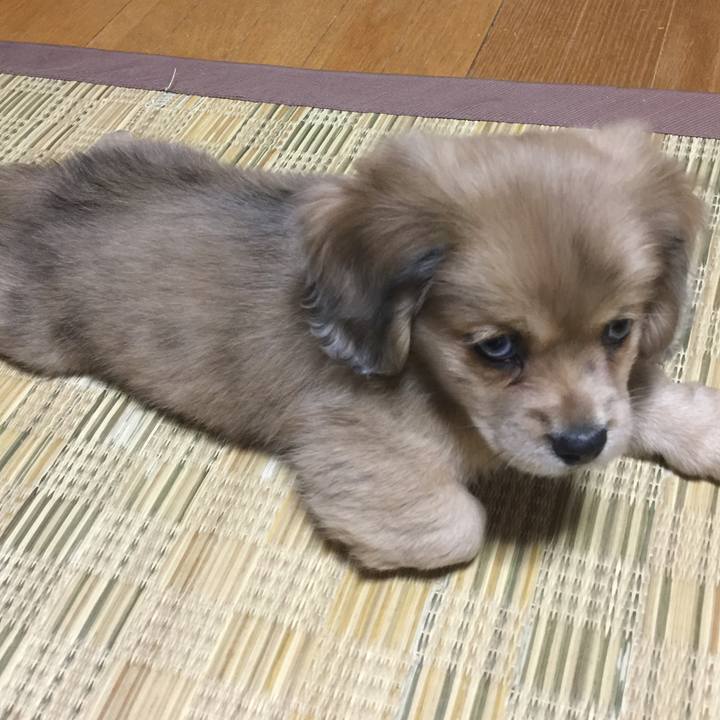 6a798653 3c2a 4878 897f 22d8a129736f 1664671861593