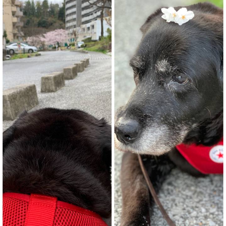 6a799339 65ed 4e60 a577 9a6c551ffe3c 1648624793322