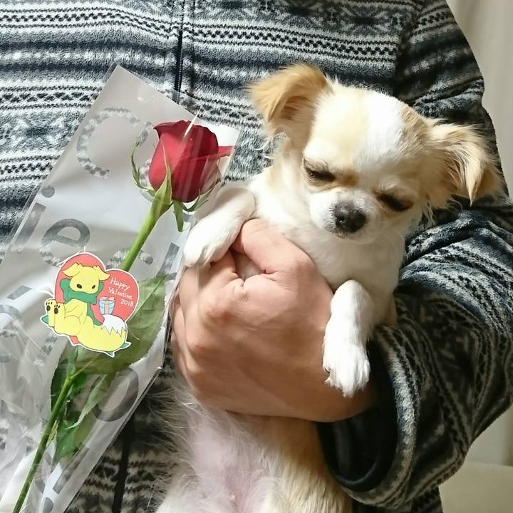 6a79c0be c778 4ed8 b514 9fc59c46be5f 1518136052852