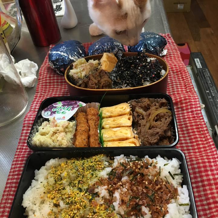 6a79e9d3 16c3 42a2 9456 23f68db91cd5 1516171415196