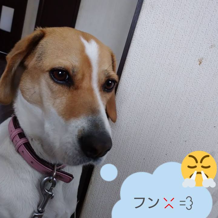 6a79f154 ae4d 4658 86b0 7fd82a87d44c 1586677228268