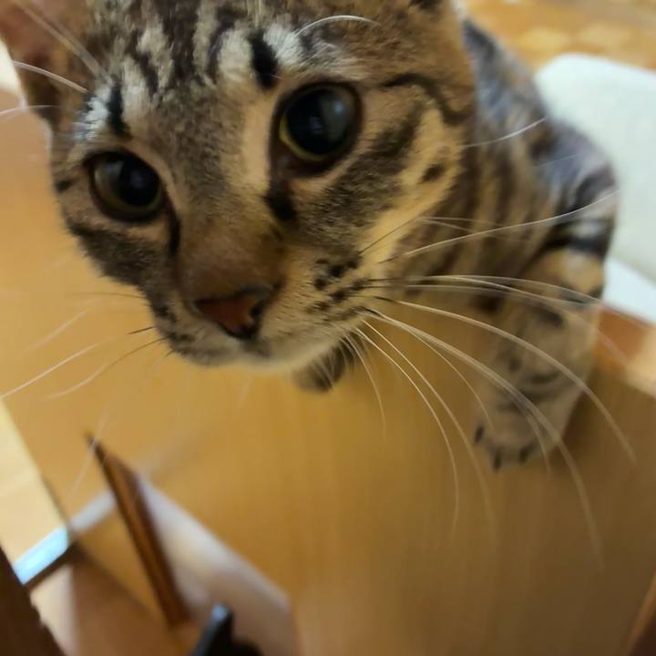 6a7a1f9e 10d5 4b2c 95a1 bf61d9ff5de0 1753646983839