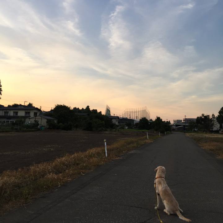 6a7a3775 f269 433b 8d13 1c5c4267712b 1532517592022