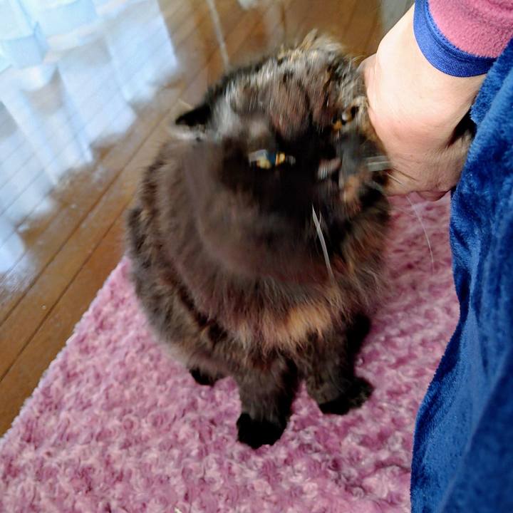 6a7a765e a4c8 4448 8c48 4e5f32df4f0d 1771206906788