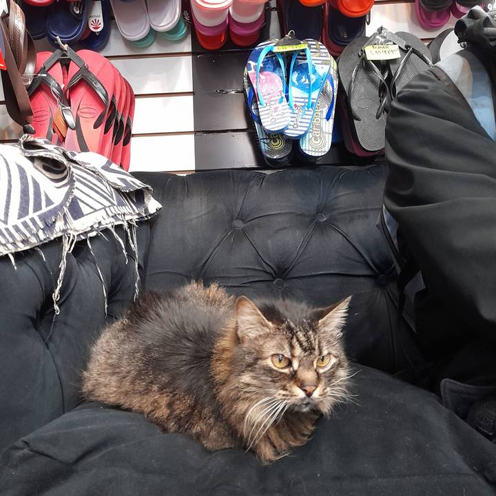 6a7a77cc c82d 400d 83b1 11d49c1fc44d 1759975604388