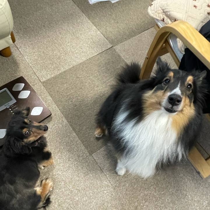 6a7abbd4 7606 45b4 bf6a d47072ac4ca4 1612821139469