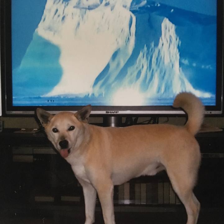 6a7abe65 5d4c 4958 b983 fd5ad2845a51 1541169646304