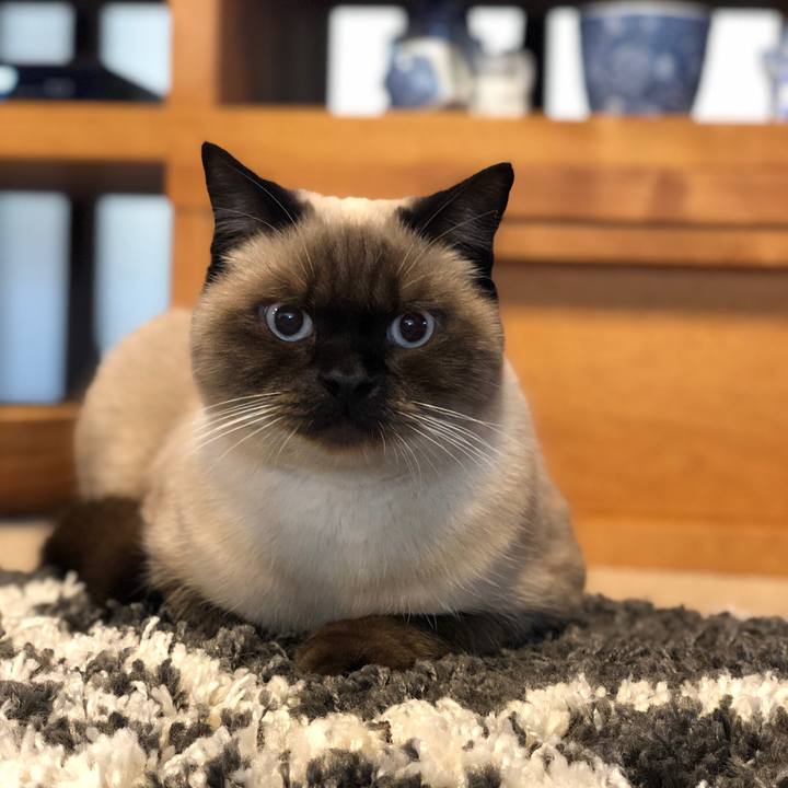 6a7b27fc 808d 4dae 8074 7ceb9c769428 1605397897682