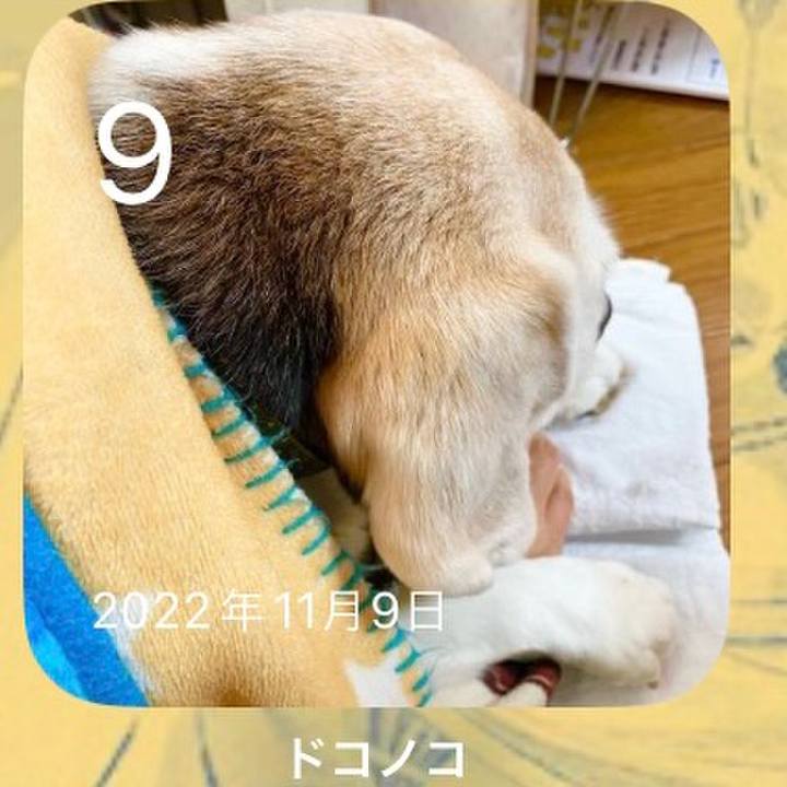 6a7b2e05 5c40 4661 9fbf 29551e93c601 1699489468855