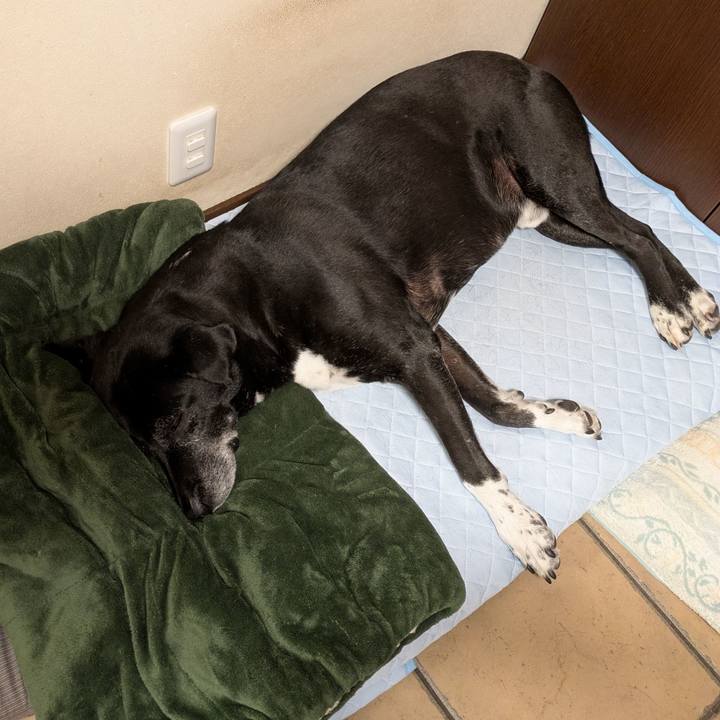 6a7b3e21 68a6 41e6 af1e 5fe65adede10 1748361403052