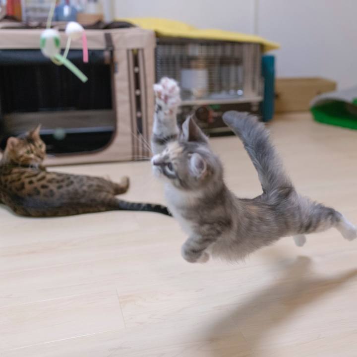 6a7b712f 0a39 4375 87ee 7aa7791e0e69 1537441969115