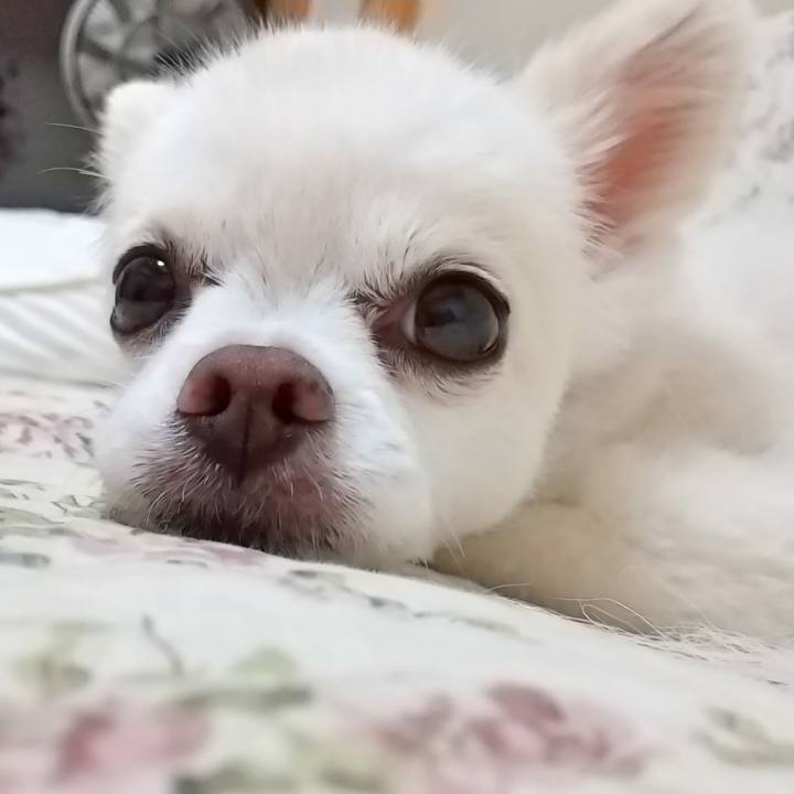 6a7ba92e 70af 4387 b229 09ff0a4820f5 1593946628212