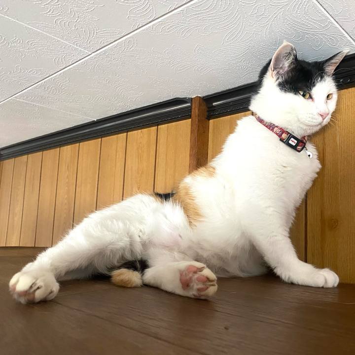 6a7bb467 5358 4e1f b3d1 ce587b63c6f0 1653217929209