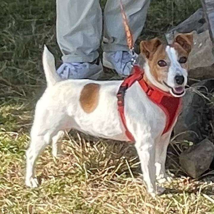 6a7bdbf2 5b73 495e a0ec 5c3316b4e036 1762221957524