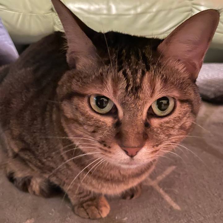 6a7c31f4 82c7 4c5b 8eab c727c3a489b3 1702973192890