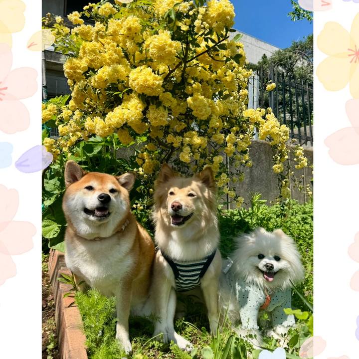 6a7c3700 5d8b 4b46 8fa4 339b526fc11c 1776328175297