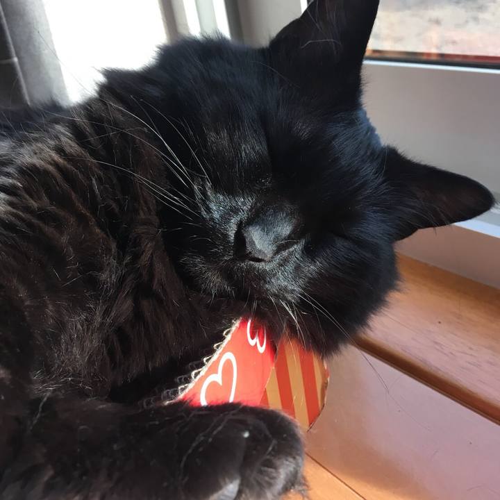 6a7c5970 a7f3 4fa3 816f b8357e6361cd 1526114959963