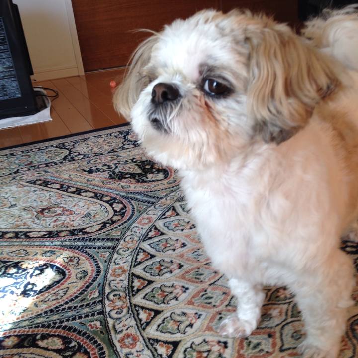 6a7c6b80 bfbc 4234 8f6c 68a95dda7bb7 1515966753577