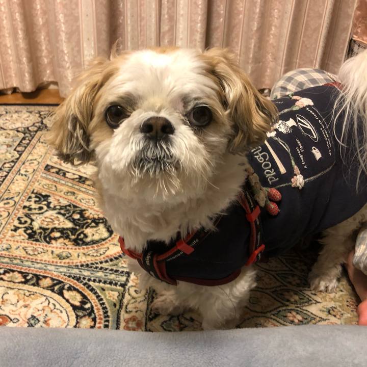 6a7d1b18 3eaf 49c0 b53a f14ec6cecd29 1586987437689