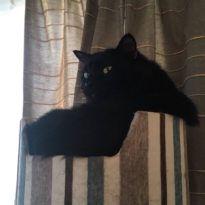 6a7d2afe 438e 4d27 86cb 44745a567c8e 1571901058638