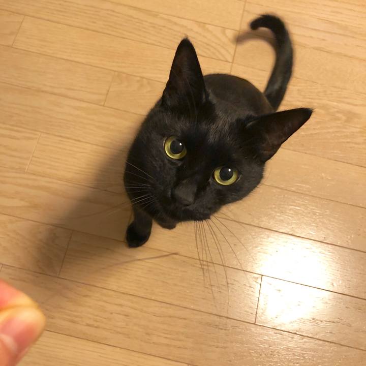 6a7d4b2a 130b 4fc1 8d8e 8159880a24f5 1584011821038