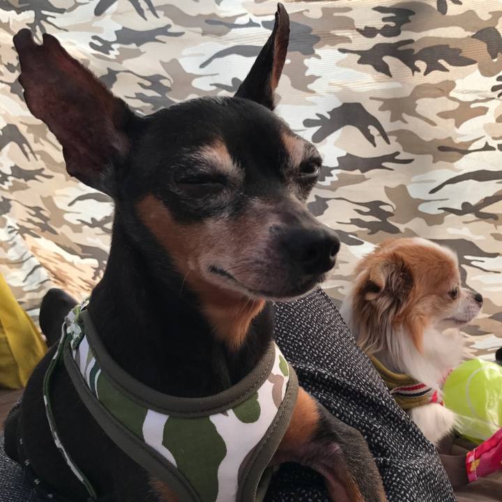 6a7d71ec 55d8 4ba8 8d98 523ee2a1993c 1524365093586