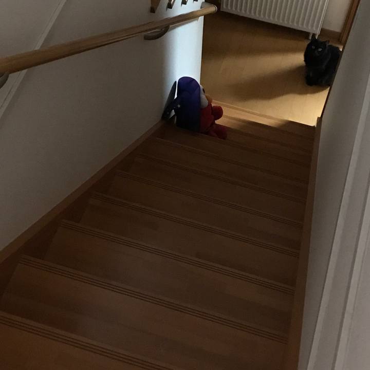 6a7d85ef 61e1 4f35 8836 8a4dfe3c8aff 1507817919922