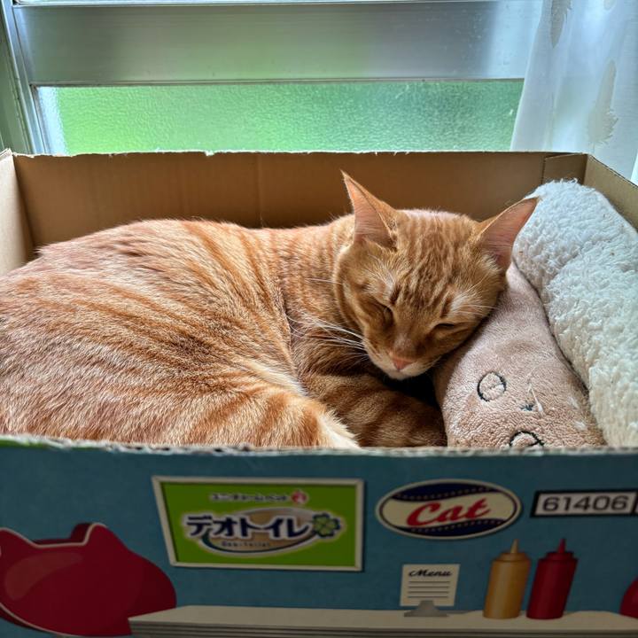 6a7d9582 1692 43fa adb8 9cf0d8a33a1b 1752203431683