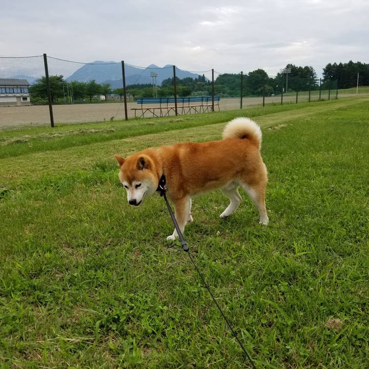 6a7de466 47f9 4a71 9f5f c709c4c70461 1593069707227