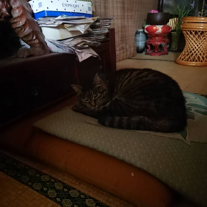 6a7dea41 5429 45e6 8ea8 20e9daca6103 1655423608318