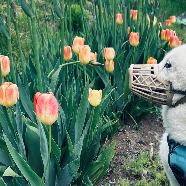 6a7df465 6325 4297 ba60 48fe3faf6f95 1748645078620