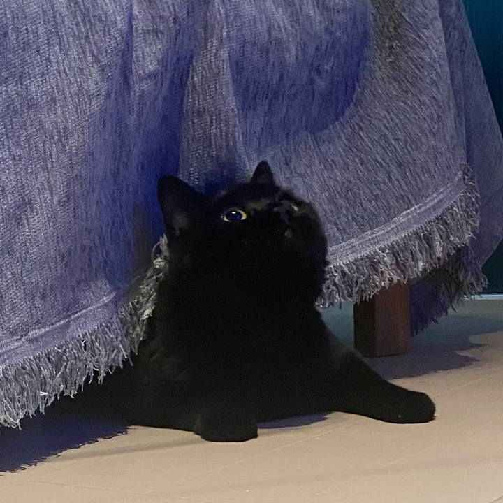 6a7df6df f9f2 49a6 9871 0e9aee1e8a24 1748646004296