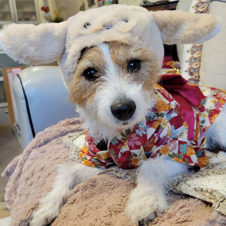 6a7df8ac c78a 4326 8f68 8ce2ada2861b 1672555797810