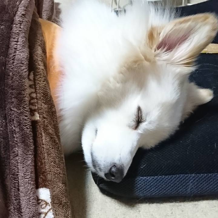 6a7e01d9 f051 4706 a001 a4777cbc1ee4 1639660071716