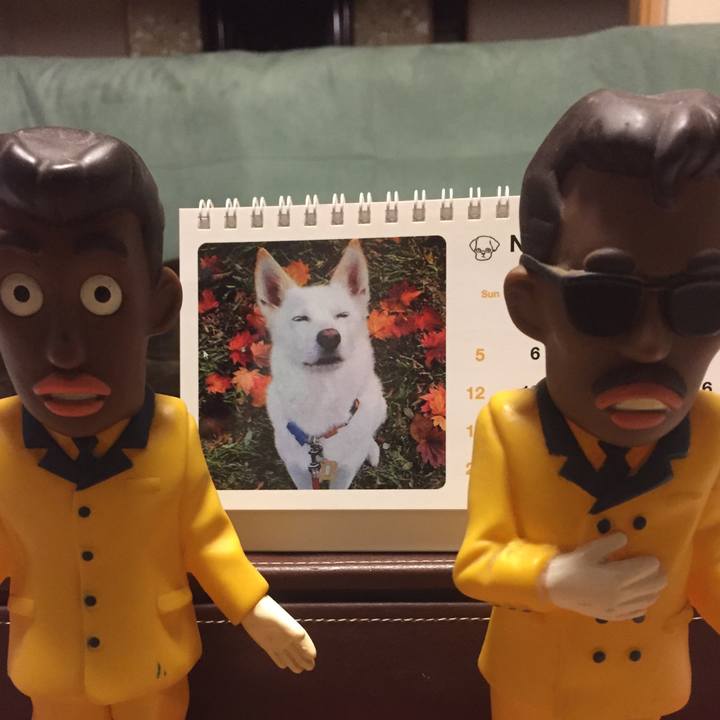 6a7e2cdb 9984 4de5 8a17 867dbc7687c5 1509796034384