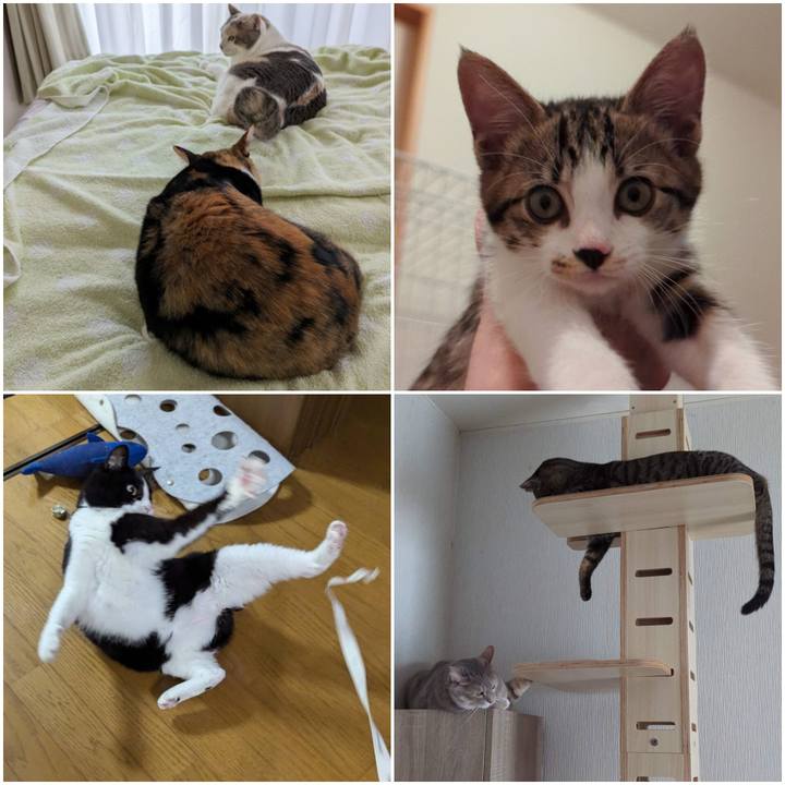 6a7e9c49 e307 438d b52c d4af9d02d569 1720067974624