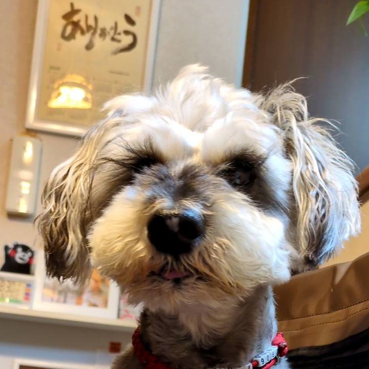 6a7ea947 3433 4353 b726 96798ebab83a 1750130095879