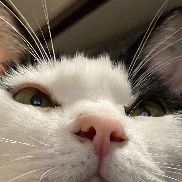 6a7eba08 f7bc 4d75 b64b 02c2b3da0d0b 1606044615505