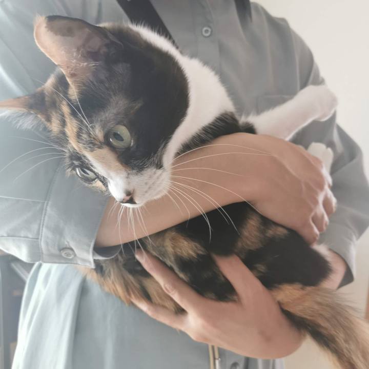 6a7ebe99 faf9 4183 a3d6 2646c8bbce27 1683516632237