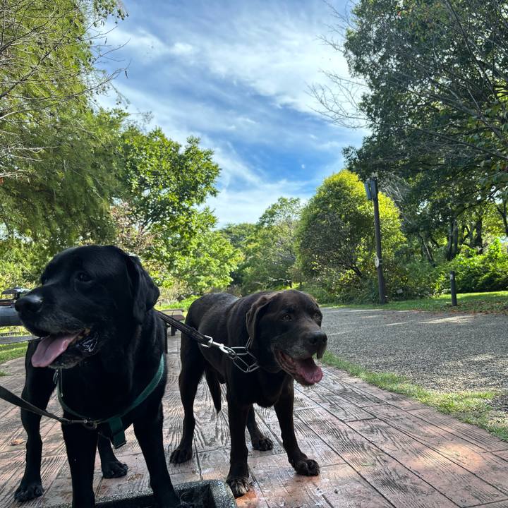 6a7eeaaf aa0c 4981 a41a 80442714ddf1 1760705069607