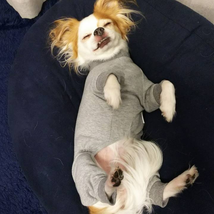 6a7eeabc dbb5 4ece a71c c5337218278e 1508924998118